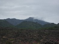 nte Arcimis-20100530 041